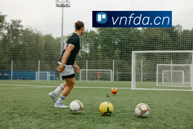 leyu.com发展历程